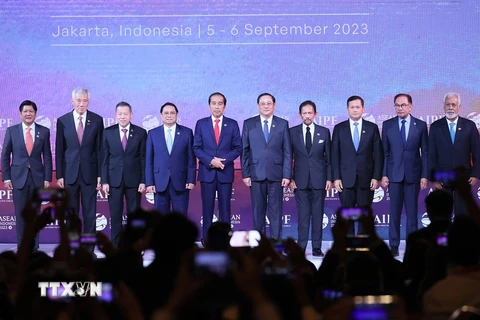 Khuyến khích phát triển ASEAN bền vững thông qua AIPF