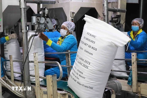 Giá gạo xuất khẩu của Việt Nam tăng trở lại sau 1 tuần hạ nhiệt