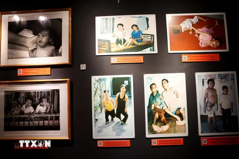 Giới thiệu hơn 300 hiện vật, hình ảnh về nỗi đau da cam ở Việt Nam