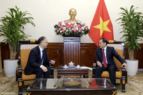 Bộ trưởng Bùi Thanh Sơn tiếp Trợ lý Bộ trưởng Ngoại giao Trung Quốc