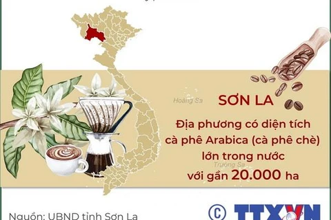 [Infographics] Lễ hội Cà phê Sơn La quảng bá hương vị núi rừng Tây Bắc