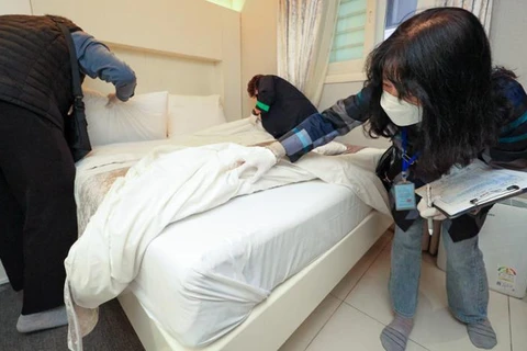 Chính phủ Hàn Quốc đẩy mạnh chiến dịch ngăn chặn rệp bùng phát