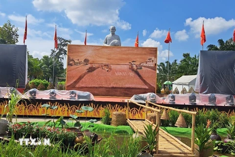 Bức tranh lớn nhất Việt Nam được làm từ gạo ST tại Sóc Trăng. (Ảnh: Tuấn Phi/TTXVN)