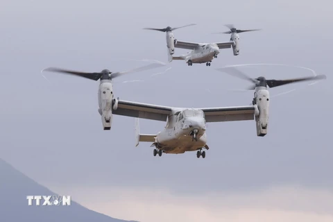 Máy bay MV-22 Osprey của Mỹ tham gia cuộc tập trận chung với Lực lượng Phòng vệ Mặt đất của Nhật Bản tại tỉnh Oita, Tây Nam Nhật Bản ngày 18/2/2023. (Ảnh: Kyodo/TTXVN)