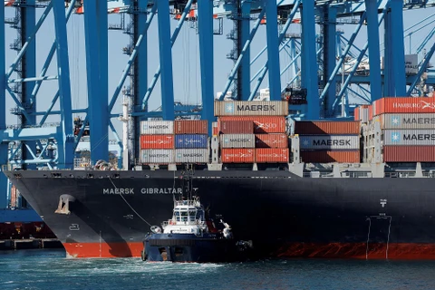 Công ty vận tải đường biển hàng đầu thế giới Maersk thông báo tạm dừng các chuyến tàu đi qua eo biển Bab al-Mandab trên Biển Đỏ. (Ảnh: Reuters)