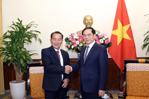 Bộ trưởng Bùi Thanh Sơn tiếp Thứ trưởng Ngoại giao Lào Ting Souksanh. (Nguồn: Báo Quốc tế)