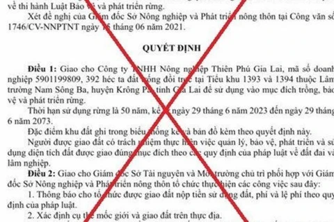 Quyết định số 1372 được xác định là giả mạo. (Nguồn: Tiền phong)