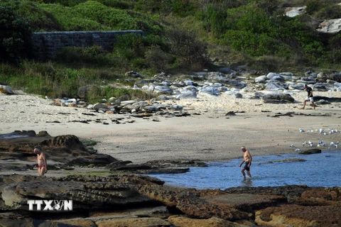 Bãi biển Little Bay tại Sydney, Australia. (Ảnh: AFP/TTXVN)