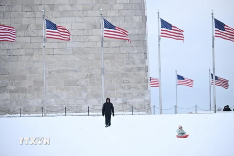 Tuyết rơi thành lớp dày 5-10cm ở vùng Washington DC, ngày 16/1/2024. (Ảnh: AFP/TTXVN)