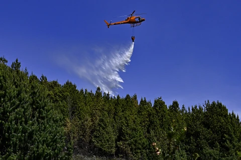 Lực lượng cứu hỏa phải sử dụng trực thăng hỗ trợ ngăn đám cháy rừng. (Ảnh: AFP)
