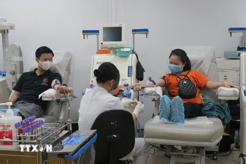 Các bạn trẻ hiến máu nhân đạo tại Bệnh viện Truyền máu-Huyết học Thành phố Hồ Chí Minh. (Ảnh: Đinh Hằng/TTXVN)