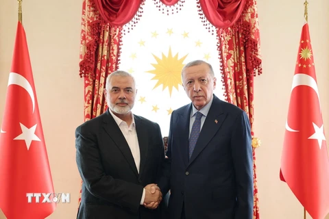 Tổng thống Thổ Nhĩ Kỳ Recep Tayyip Erdogan (phải) và thủ lĩnh Phong trào Hồi giáo Hamas Ismail Haniyeh tại cuộc gặp ở Istanbul, Thổ Nhĩ Kỳ, ngày 20/4/2024. (Ảnh: AFP/TTXVN)