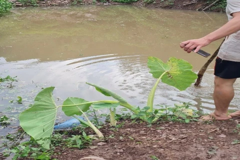 Bắc Giang: Ba ông cháu cùng tử vong thương tâm ở hố nước gần nhà