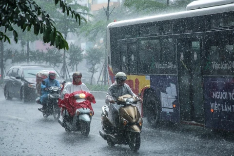 Nhiều khu vực trên cả nước có mưa dông rải rác. (Ảnh: Lê Minh Sơn/Vietnam+)
