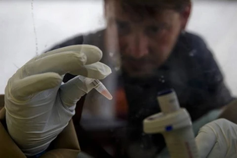 [Video] WHO: Vắcxin ngừa Ebola sẽ được sử dụng vào tháng 11 tới