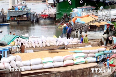 [Video] Kiến nghị tăng doanh nghiệp đầu mối xuất khẩu gạo