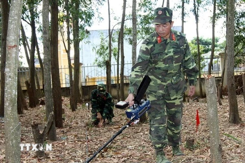 [Video] Quảng Trị phát hiện quả bom nặng gần 500kg gần sông Sê Pôn