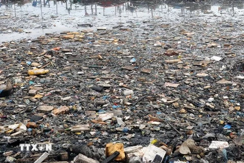 [Video] 1,5 triệu động vật trên đại dương chết vì rác nhựa mỗi năm