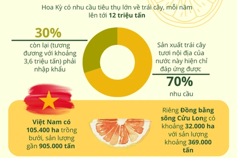 Bưởi tươi Việt Nam sẵn sàng lên kệ tại chuỗi siêu thị lớn của Hoa Kỳ