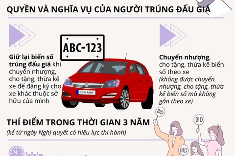 [Infographics] Quy định chi tiết về đề xuất đấu giá biển số ôtô đẹp