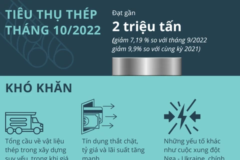 [Infographics] Ngành thép Việt Nam kỳ vọng gì trong năm 2023?