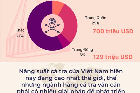 20 năm cuộc hành trình viết nên kỳ tích ngành cá tra Việt Nam
