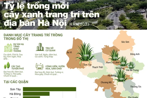 [Infographics] Tỷ lệ trồng mới cây xanh trang trí trên địa bàn Hà Nội