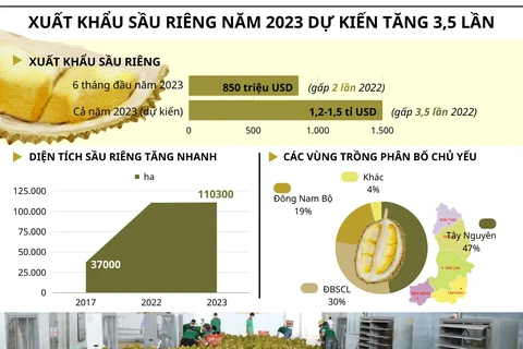 [Infographics] Xuất khẩu sầu riêng của VN năm 2023 dự kiến tăng mạnh
