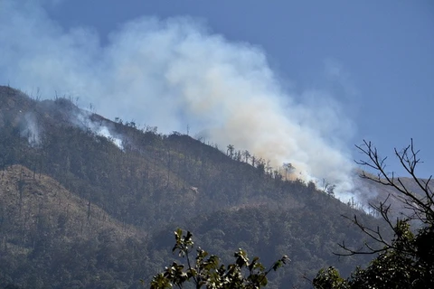 Cháy rừng lan rộng tại Vườn Quốc gia Hoàng Liên