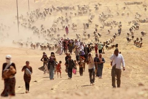Các tay súng Nhà nước Hồi giáo thảm sát 80 người Yazidi