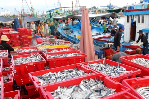 Những mẻ cá được chuyển lên bờ tại cảng cá Phan Thiết. (Ảnh: Mạnh Linh/TTXVN)