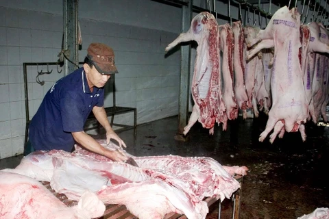 Trung tâm giết mổ gia súc Đà Sơn cung ứng hơn 70% nguồn thực phẩm cho thành phố Đà Nẵng. (Ảnh: Đình Huệ/TTXVN)