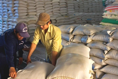 Bốc xếp gạo xuất khẩu tại tại Hậu Giang. (Ảnh: Duy Khương/TTXVN)