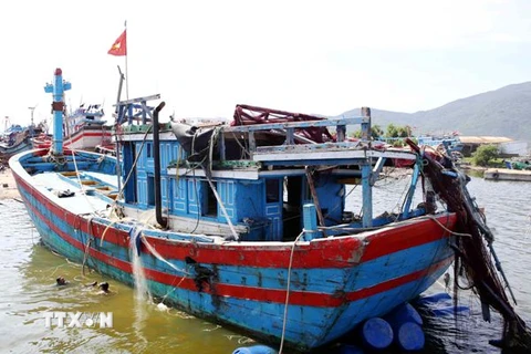 Hội Nghề cá Việt Nam phản đối Trung Quốc bắt giữ 6 ngư dân và tàu cá