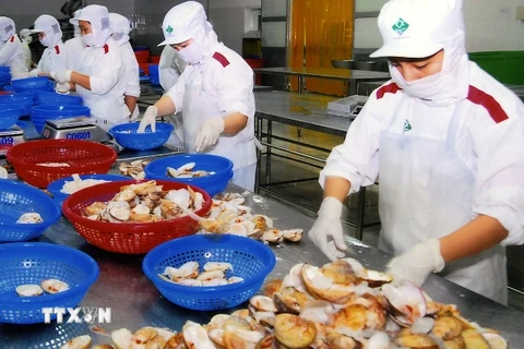 EU sẽ kiểm tra chất lượng nhuyễn thể hai mảnh vỏ ở Việt Nam