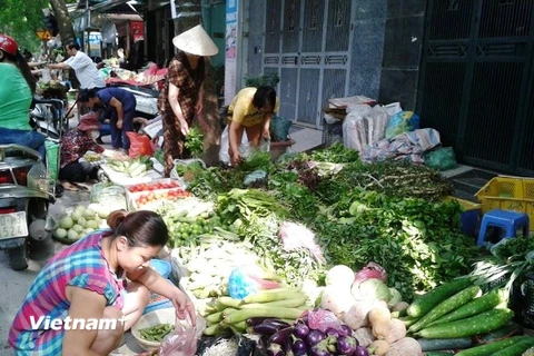 Người tiêu dùng đổ xô đi mua thực phẩm tích trữ đề phòng bão