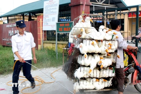 Triển khai tháng vệ sinh, tiêu độc khử trùng đợt 2 trên toàn quốc