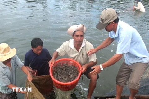 Doanh nghiệp Việt Nam đầu tiên đạt chứng nhận thủy sản bền vững 