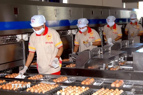 Chốt hạn ngạch nhập khẩu đường, muối và trứng gia cầm vào Việt Nam