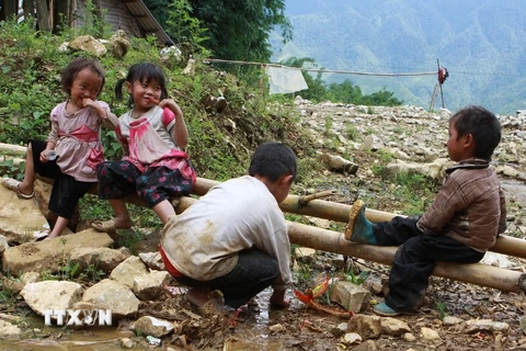 Khởi động chương trình hành động “Không còn nạn đói” ở Việt Nam 