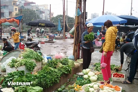 Hà Nội: Giá rau xanh “hạ nhiệt,” thủy-hải sản vẫn giữ đà tăng 