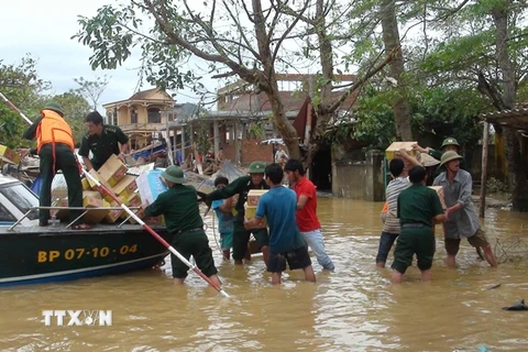 Tổ chức diễn tập phương án hộ đê phòng, chống lụt bão năm 2015 