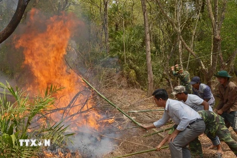Nguy cơ cháy rừng ở nhiều địa phương tăng lên mức nguy hiểm