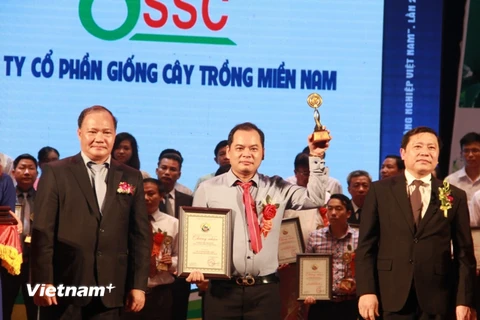 Thứ trưởng Bộ Nông nghiệp và Phát triển Nông thôn Hoàng Văn Thắng trao giải "Thương hiệu vàng nông nghiệp" cho các đơn vị. (Ảnh: PV/Vietnam+)