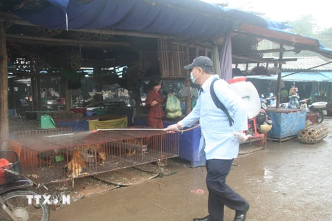 Lực lượng Thú y phun thuốc tiêu độc khử trùng tại chợ ở tỉnh Lạng Sơn. (Ảnh: Thắng Trung/TTXVN)