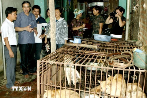 Đoàn thanh tra liên ngành giám sát, kiểm tra tại các cơ sở chế biến, kinh doanh thịt chó tại Hà Nội. (Ảnh: Dương Ngọc/TTXVN)