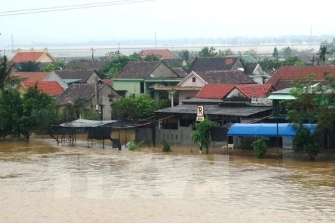 Quảng Bình lại chìm trong mưa lũ, nhiều nhà bị ngập sâu. (Ảnh: Đức Thọ/TTXVN)