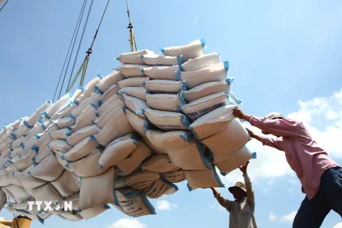 Bốc xếp gạo xuất khẩu ở cảng Sài Gòn. (Ảnh: Đình Huệ/TTXVN)