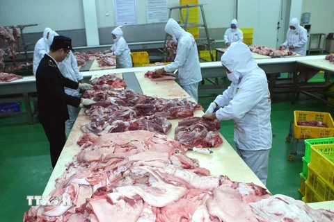 Kiểm tra sản phẩm thịt lợn tại nhà máy chế biến gia súc ở Hà Nội. (Ảnh: Vũ Sinh/TTXVN)
