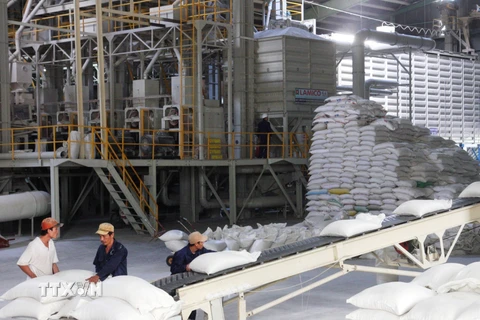 Vận chuyển gạo vào kho phục vụ xuất khẩu. (Ảnh: Đình Huệ/TTXVN)